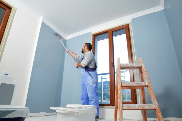 Best Repainting for Renovations  in San Mateo, CA